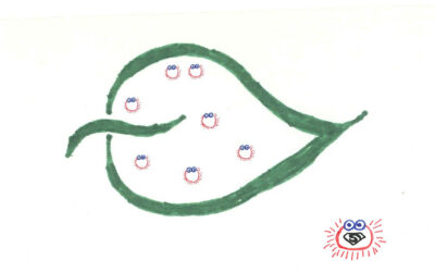 Chemical Resistance Part One: HOW?